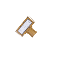 ZHEGUANRONG/浙冠荣免维护led防爆路灯GRDL121-50W 个