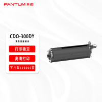 墨粉/硒鼓/油墨 奔图/PANTUM CDO-300DY 显影组件 标准版 125000页 1