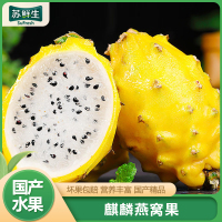 JD快递[苏鲜生]海南麒麟果 燕窝果 净重3.5斤 特大果 单果250-300g 应当季新鲜