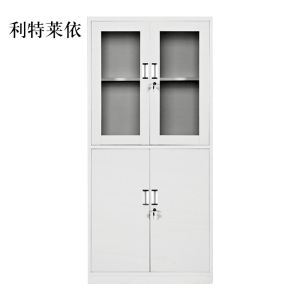 利特莱依钢制文件柜办公资料柜铁皮档案柜带锁储物柜财务凭证柜