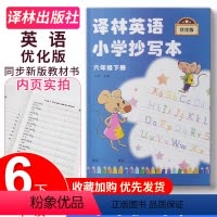 译林抄写本 六年级下册 小学通用 [正版]2023秋 跟上兔子小学三年级四年级五年级六年级上册下册第一季第二季数字版译林