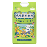 袁谷碱地长粒香米10斤 东北大米 盘锦地标 GB/T18824 当季新米 粳米