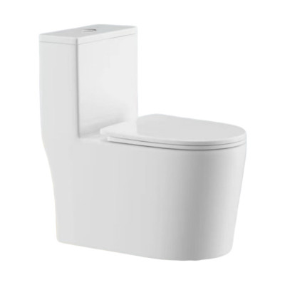 沃奈斯 Oh nice 马桶虹吸式连体坐便器 700*360*735mm坑距300/400mm个