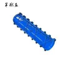 萃珑辰 球墨铸铁加长堵漏器(包PE管)DN160*1000 个