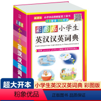 [正版]超大开本 扫码听读小学生英汉汉英词典2022年新版彩图版 英语词典中小学生多功能新英汉互译字典
