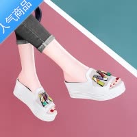 SUNTEK凉拖2023年新款女夏季外穿外出厚底中跟粗跟网纱妈妈高跟拖鞋