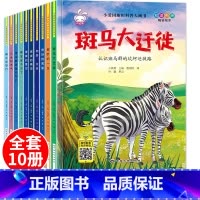 [正版]精装硬壳儿童绘本3一4-5-6-8岁幼儿园适合大班三至四幼儿阅读的硬皮昆虫相关科普故事书读物五到六岁孩子看小班