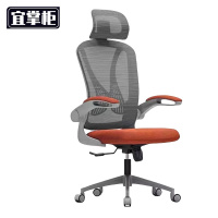 宜掌柜 人体工学椅 常规 把