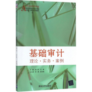 醉染图书基础审计9787302483885