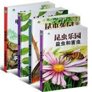 正版新书]昆虫乐园(全4册)燕子9787546991122