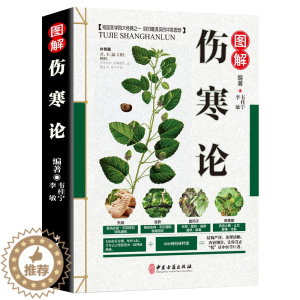 [醉染正版]伤寒论 图解 张仲景正版 原著全集 中医四大名著之一 伤寒杂病论白话解 中医养生书籍大全医学全书 中医知识自