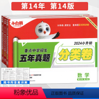 语数英套装 小学升初中 [正版]2024小白鸥星空小升初分类卷语文数学英语小学专项训练分班考试卷六年级小升初总复习分类卷