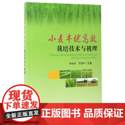 小麦丰优高效栽培技术与机理