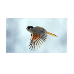 ULTC 优联技术LED小间距全彩显示屏箱体ULV1.86S