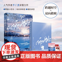 何地雪吹(人气作者李丁尧跨越时空、双向救赎之作!“等雪满人间的时候,我们会再 李丁尧 安徽文艺出版社 正版书籍