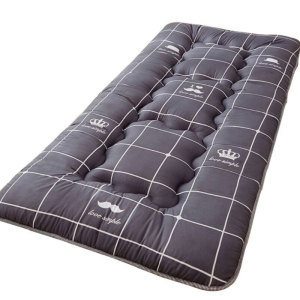 冷色调加厚床垫 单人 图案随机