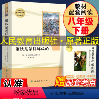 [正版]钢铁是怎样炼成的初中原著八年级下册原版完整版人民教育出版社初中生必读人教版课外书阅读书籍世界文学名著和傅雷家书