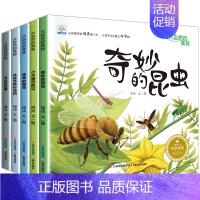 全套5册 大自然的奥秘 第①辑 [正版]大自然的奥秘 幼儿园科学启蒙绘本小中班阅读4一5岁幼儿绘本3–6岁儿童科普读物睡