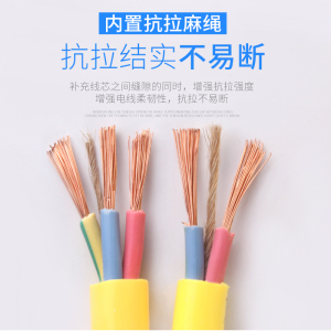 BONJEAN国标铜芯电源线2芯芯电缆线RVV1.5 2.5平方电线牛筋线家用护套线