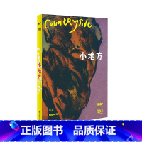 单读PLUS·漫象集:小地方 [正版]走出我房间/死亡日志/多谈谈问题/燕东园左邻右舍/把自己作为方法争夺记忆夜游神走出