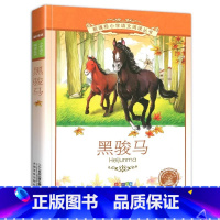 黑骏马 [正版]4本28元黑骏马彩图注音版小学生人教适用课外书阅读书籍语文俊马名著儿童故事带拼音彩绘1一年级2二年级3三