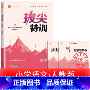 单本[人教版]语文 六年级上 [正版]2025春拔尖特训英语外研版一年级起点英语练习册外研社小学一二三四五六年级上册下册