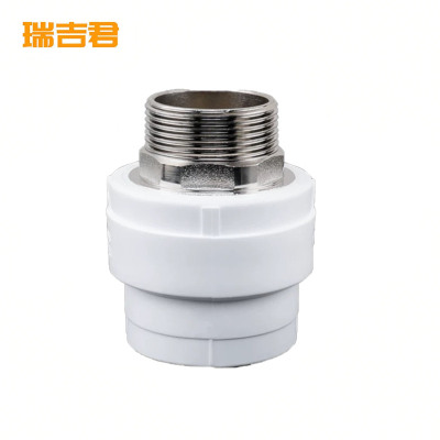 瑞吉君 PPR外丝直接 50mm 个