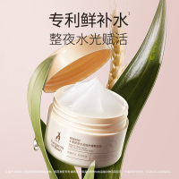 袋鼠妈妈准孕妇护肤品专用 小麦睡眠面膜 舒缓神经酰胺免洗面膜化妆品 小麦睡眠面膜80g