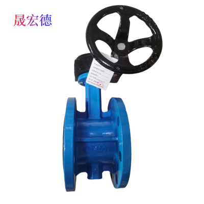 晟宏德 涡轮法兰蝶阀 DN100 个