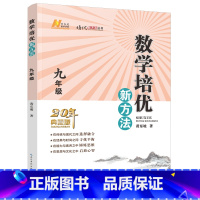 数学培优新方法(九年级) [正版]数学培优新方法(九年级)