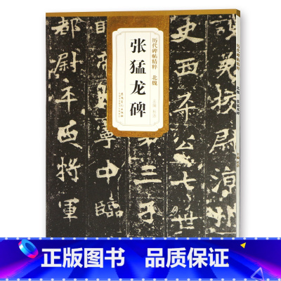 [正版] 北魏张猛龙碑 历代碑帖 简体旁注 碑帖楷书毛笔字帖 杜浩 安徽美术出版社 图书书籍张猛龙碑 楷书碑帖