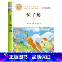 兔子坡 [正版]四年级下册快乐读书吧全套小学生课外书必读十万个为什么小学生版灰尘的旅行人类的演化过程看看我们的地球适合青