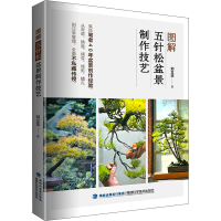 [M]图解五针松盆景制作技艺 刘立华 著 -9787533565589