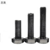 志浪 六角头螺栓16*60 个