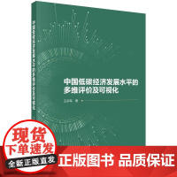 [按需印刷]中国低碳经济发展水平的多维评价及可视化