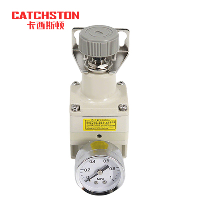 卡西斯顿 精密调压阀 IR2020 个