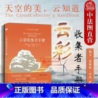 [正版] 三十而已 云彩收集者手册 平尼 认识46种云彩和大气现象 赏云达人彩色摄影作品 云彩基本常识 科普读物 天文