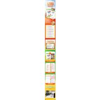 写字课课练.八年级下册(配同步提分训练)