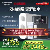 汉斯顿/Hunsdon家用0阻垢剂净水器管线机套装厨下式净饮机RO反渗透净水机过滤器母婴直饮厨房纯水机D3