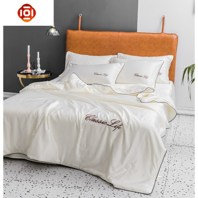 夏季可水洗空调被夏凉被四件套冰丝夏被双人天丝夏天薄款被子三维工匠