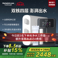 汉斯顿/Hunsdon家用0阻垢剂净水器管线机套装厨下式净饮机RO反渗透净水机过滤器母婴直饮厨房纯水机D3
