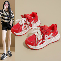 秋季新款韩版透气阿甘鞋女ins学生休闲鞋女跑步老爹女鞋