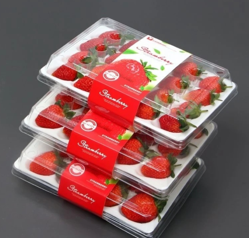 顺丰快递[熊猫鸟]彩箱装 四川正宗大凉山露天草莓 小果 单果15g左右 净重1.2斤 (300g*2) 吸塑盒