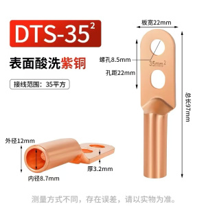 新运 双孔铜鼻子DT-S双眼接线端子 个