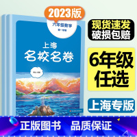 6年级上册 语数英(全3册)大字版 小学通用 [正版]2024上海名校名卷二年级一二三四五年级六七八九上下册语文数学英语