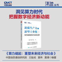 正版新书]算力崛起:重塑未来经济与社会中国信息通信研究院 王