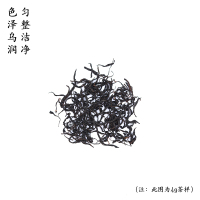 伍刻[坦洋红茶·酣畅淋漓]春美人 金牡丹蜜桃香奶香坦洋工夫伍刻210g 3袋装