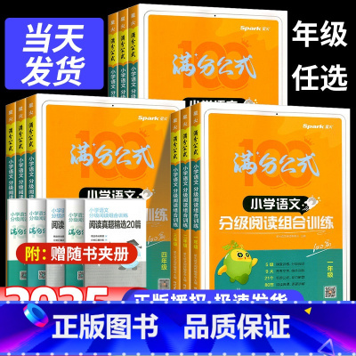 语文分级阅读组合训练 小学六年级 [正版]小学语文阅读理解专项训练书满分公式分级阅读组合训练100篇一二三四五六年级上下