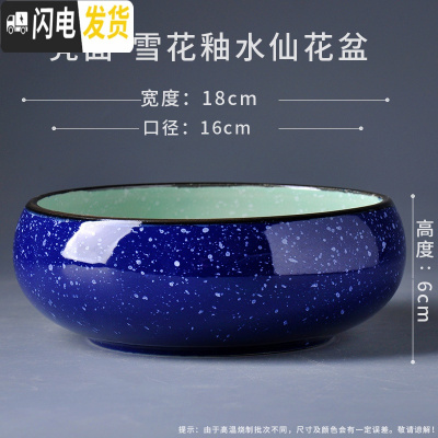 三维工匠水仙花盆陶瓷大口径无孔铜钱碗莲一叶莲室内大号水培盆 雪花喷点水仙蓝(7寸) 大花盆容器