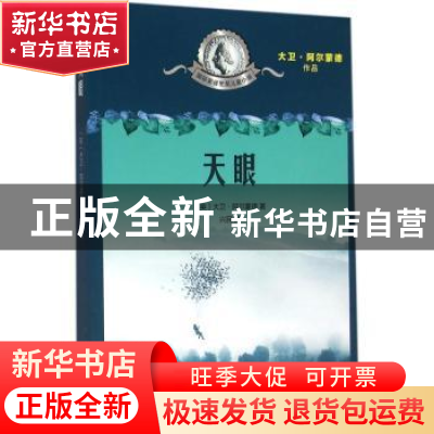 正版 天眼 (英)大卫·阿尔蒙德著 人民文学出版社 9787020112234